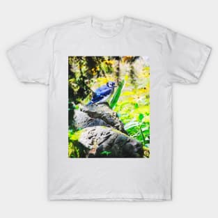 Blue Jay Watercolour T-Shirt